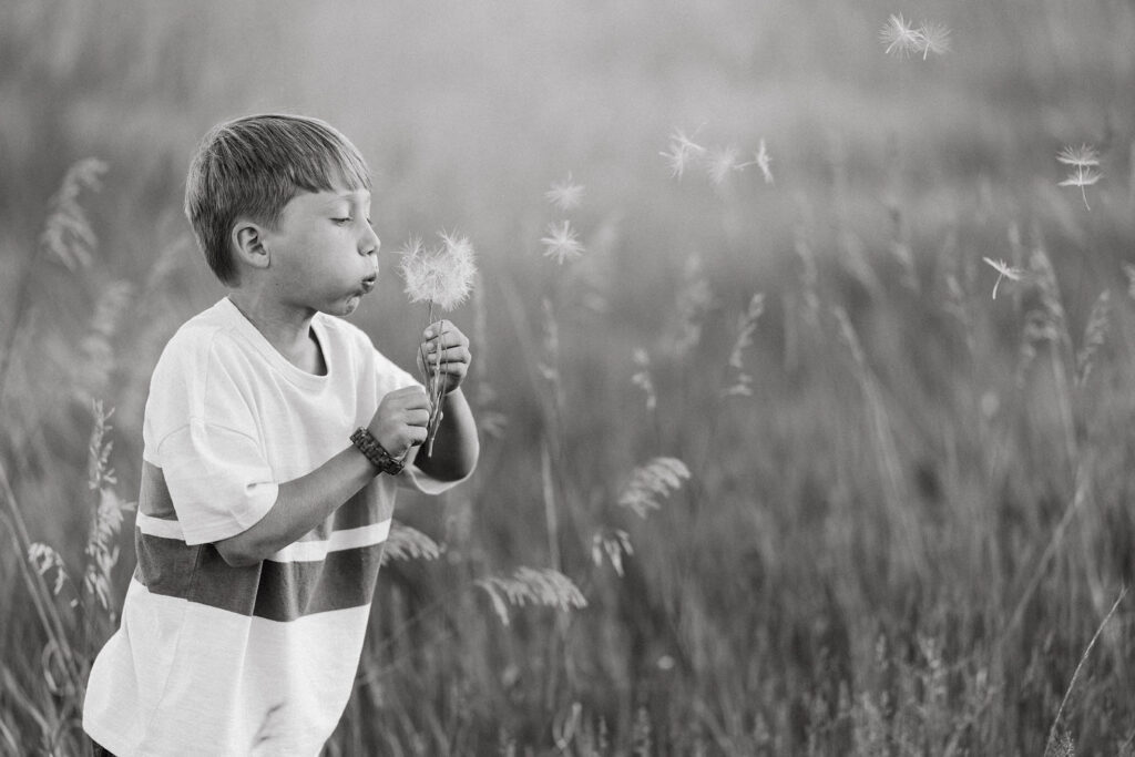 boy blowing a huge dandelion